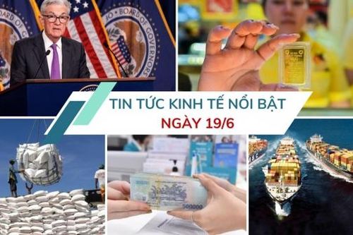 Tin tức kinh tế ngày 19/6: Giá cước vận tải biển tăng mạnh