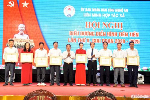Nghệ An biểu dương các hợp tác xã tiêu biểu