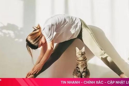 Giúp 'đẩy lùi' mỡ máu từ những việc làm mỗi sáng
