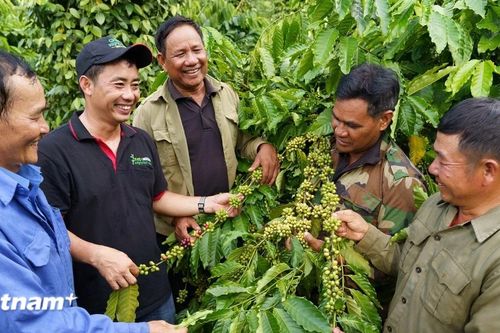 30 năm Nestlé đồng hành cùng người Việt trên hành trình phát triển bền vững