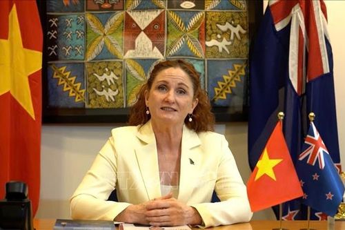 Đại sứ Caroline Beresford: 'Hạt giống' hữu nghị được gieo trồng từ 50 năm trước đã thành đại thụ