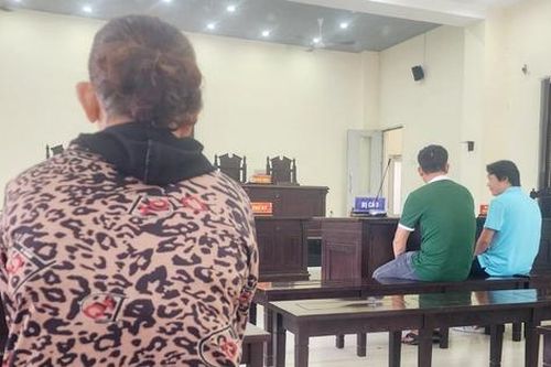 Viện KSND đề nghị trả hồ sơ điều tra lại, Tòa nghị án kéo dài vụ 'bênh mẹ mà phạm tội'