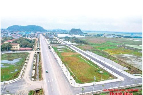 Đất đấu giá tăng cao: Nhu cầu thị trường hay 'cò' thổi giá'?