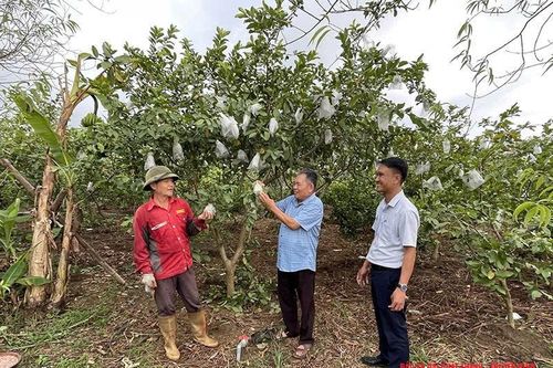 Phát huy vai trò của MTTQ trong xây dựng nông thôn mới