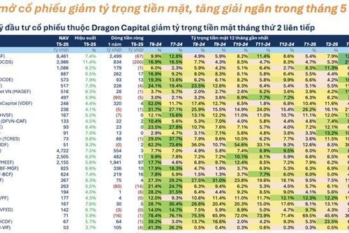 Hiệu suất bay cao, các quỹ cổ phiếu mạnh tay 'xuống tiền' trong tháng 5