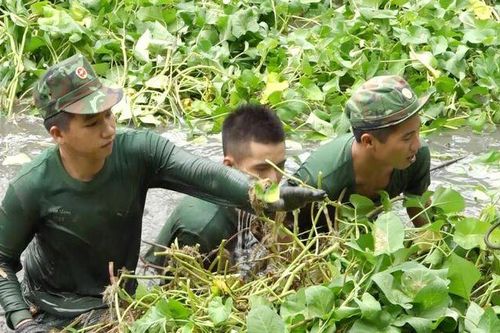 Xả rác nơi công cộng - thói quen khó bỏ