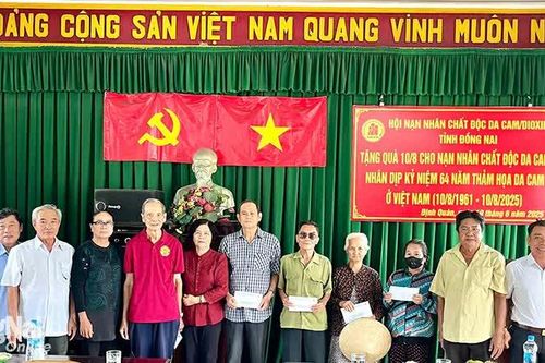 Khắp nơi trong tỉnh ngày 19-6-2025