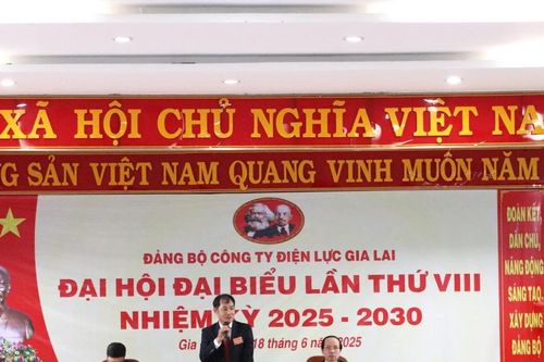 Điện lực Gia Lai phấn đấu hàng năm 100% chi bộ trực thuộc đạt 'Chi bộ 4 tốt'