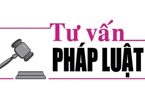 Luật sư Bùi Thanh Vũ tư vấn pháp luật