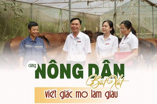 Cùng nông dân Bát Xát làm giàu