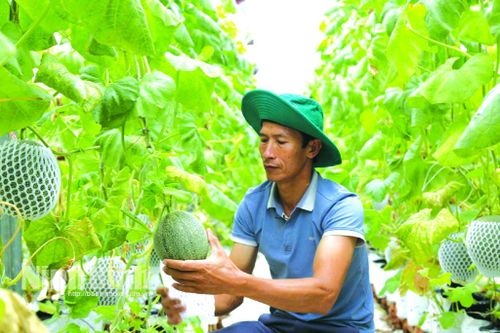 Báo chí góp phần lan tỏa và nhân rộng các mô hình phát triển kinh tế