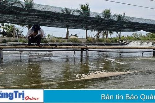 Khôi phục sản xuất thủy sản sau mưa lũ