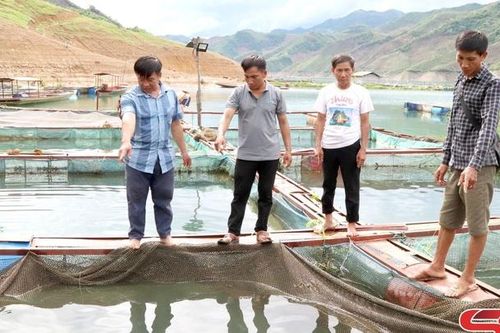 Bảo vệ khu vực nuôi thủy sản mùa mưa lũ