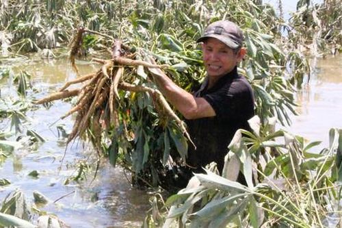 Quảng Trị: Khôi phục sản xuất, đảm bảo đời sống người dân thiệt hại do mưa lũ bất thường