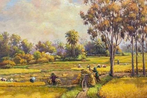 Mùa lúa chín làm con nhớ