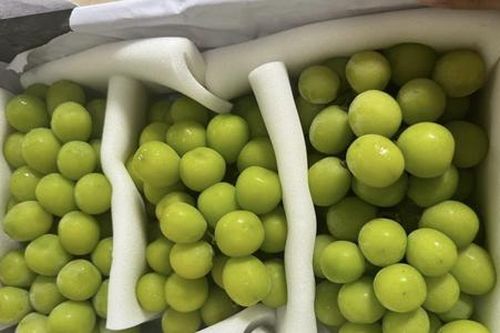 HTX và doanh nghiệp chịu áp lực cạnh tranh lớn từ hàng nhập khẩu giá rẻ