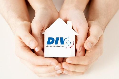 Bảo hiểm tiền gửi Việt Nam bảo vệ người gửi tiền như thế nào?