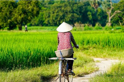 Thúc đẩy sự tham gia của phụ nữ - động lực cho tăng trưởng xanh và việc làm