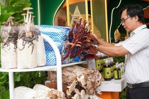 TP Hồ Chí Minh khai mạc Tuần lễ Giống, nông nghiệp công nghệ cao 2025