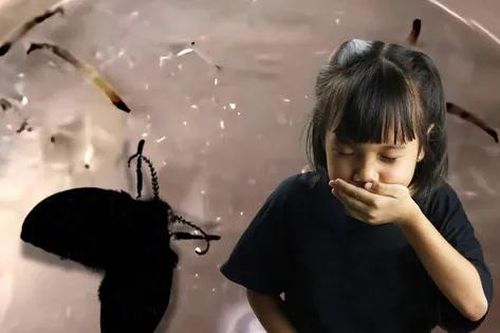 Trung Quốc: Bé gái 8 tuổi nôn ra sinh vật sống, 'thủ phạm' ẩn trong nhà vệ sinh