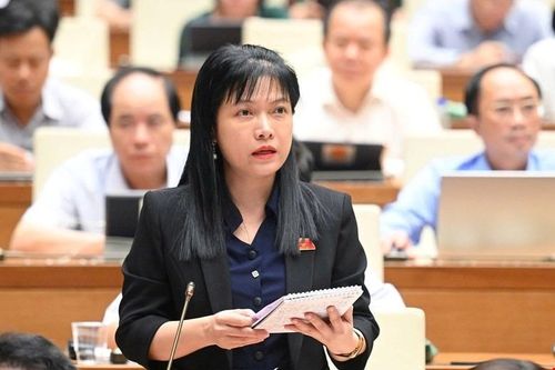 Đại biểu chỉ trích trường tư né xử lý bạo lực học đường vì doanh thu