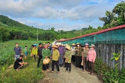 Bài toán môi trường và phép thử với địa phương