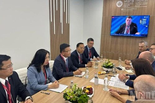 Phó Thủ tướng Lê Thành Long tiếp lãnh đạo một số Tập đoàn, công ty hàng đầu của Nga