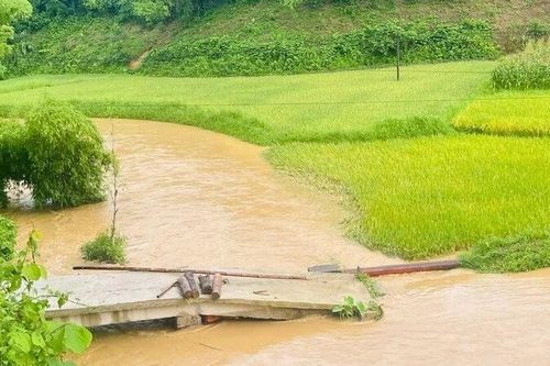 Mưa lũ gây nhiều thiệt hại tại Bắc Kạn