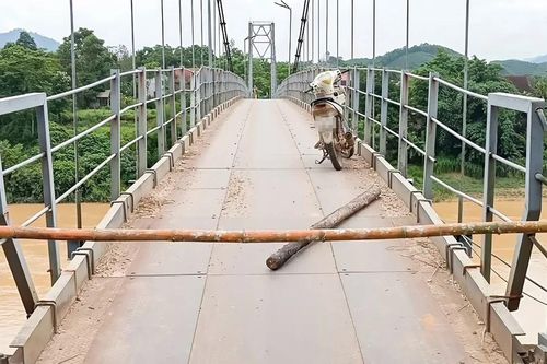Những cây 'cầu già' ở Nghệ An kêu cứu