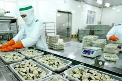 Trung Quốc chi 8 triệu USD mua nghêu Việt Nam