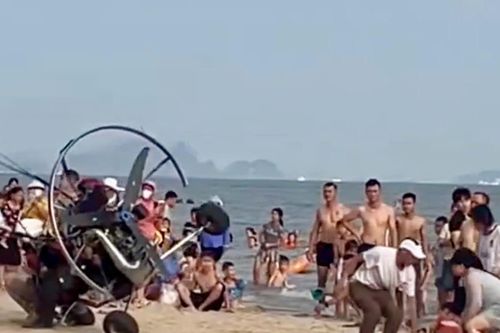 Xử phạt công ty tổ chức dù lượn sau sự cố húc vào du khách trên bãi biển Hạ Long