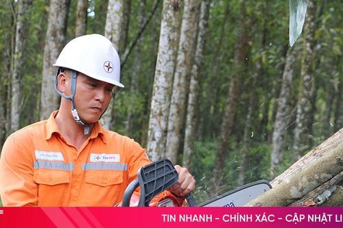 Ra quân giải phóng hành lang lưới điện cao áp tại Kỳ Anh