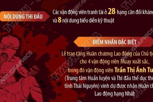 Giải vô địch Muay châu Á: 28 hạng cân đối kháng và và 8 nội dung biểu diễn