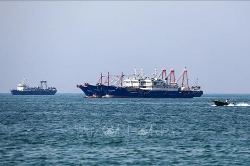 Giá thuê tàu chở dầu qua eo biển Hormuz tăng vọt do xung đột leo thang