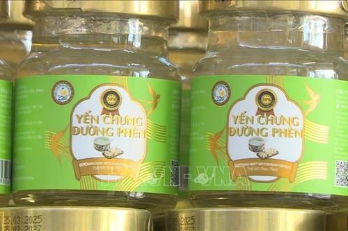 Thu giữ hơn 23.000 sản phẩm yến chưng giả
