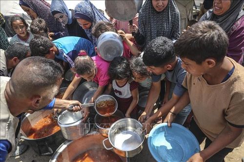 Gaza đối mặt với tình trạng thiếu nước nghiêm trọng