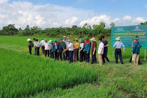 Dự án nông nghiệp tuần hoàn: Xác minh thế nào để doanh nghiệp được vay ưu đãi?
