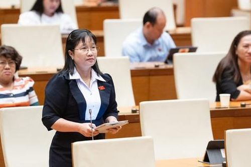 Đại biểu Quốc hội lo ngại về bữa ăn học đường, bạo lực mạng