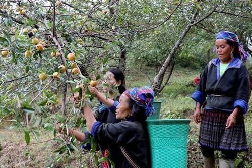 Yên Bái: Đời sống người dân khởi sắc nhờ giảm nghèo hiệu quả