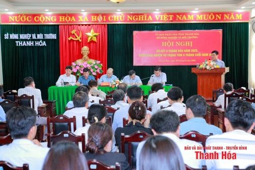Tốc độ tăng trưởng ngành Nông nghiệp và Môi trường 6 tháng đầu năm 2025 đạt 4,25%