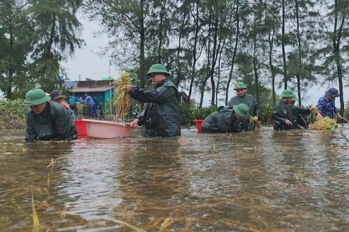 Quảng Trị dành 320 tỷ đồng khôi phục sản xuất sau mưa lũ bất thường
