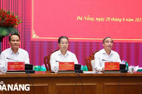 Thảo luận, xác định rõ nhiệm vụ, giải pháp để thực hiện các mục tiêu sau khi thành lập thành phố Đà Nẵng (mới)