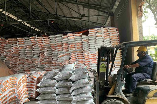 Phát hiện nhiều sai phạm khi kiểm tra đột xuất cơ sở kinh doanh vật tư nông nghiệp