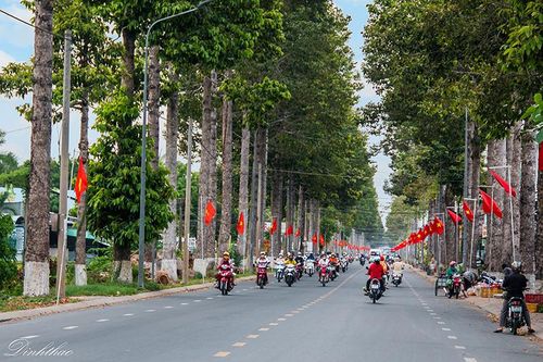 Thanh xuân phố