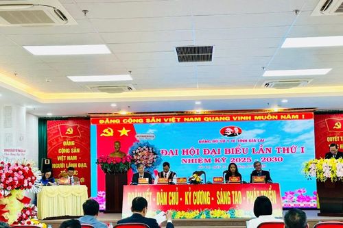 Đại hội đại biểu Đảng bộ Sở Y tế tỉnh Gia Lai lần thứ I, nhiệm kỳ 2025-2030