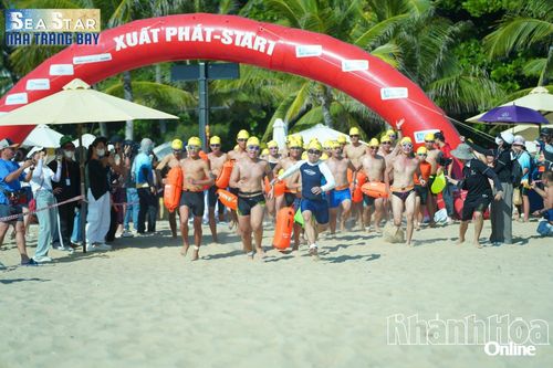 Sáng 21 và 22-6, Báo Khánh Hòa sẽ livestream Giải Bơi biển Seastar Nha Trang Bay 2025