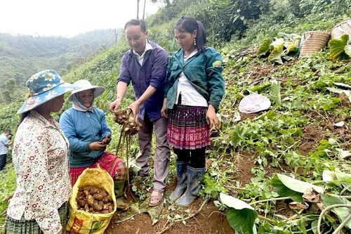 Cuộc cách mạng nông nghiệp ở Trạm Tấu
