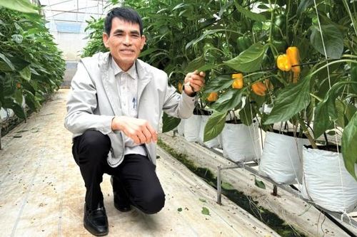 Đưa nông sản vượt đại dương