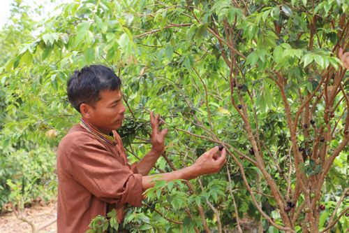 Đổi thay từ chương trình mục tiêu Quốc gia