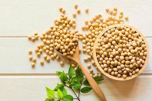 Giải mã đậu nành: Hạt 'Vàng' trong làng hạt